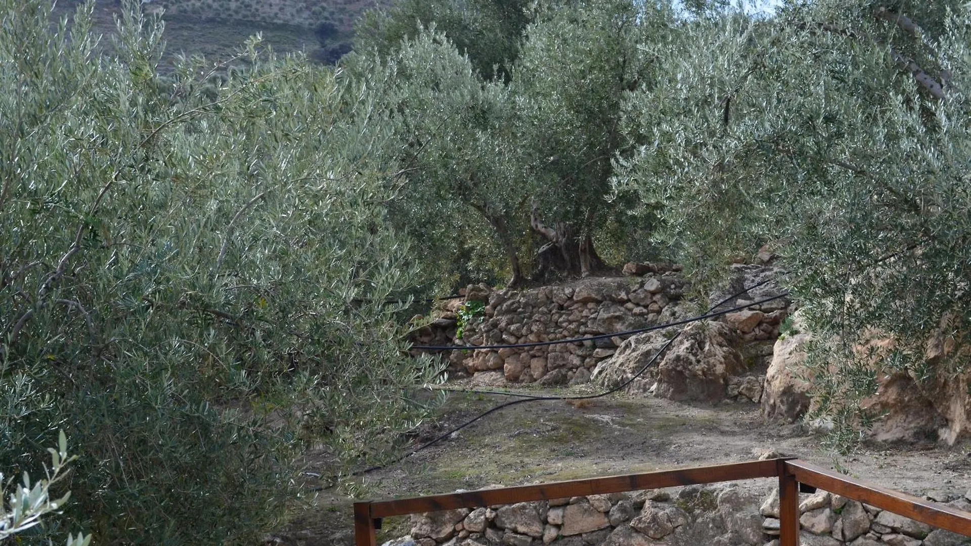 Holiday home Encinagorda Villa Pinos del Valle Spain